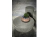 Juno Coffee Table Baxter